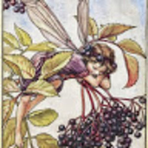 Meet your Posher, Clarissa